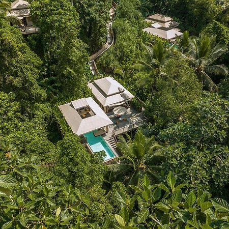 Kanva Ubud Tegallalang  Room photo