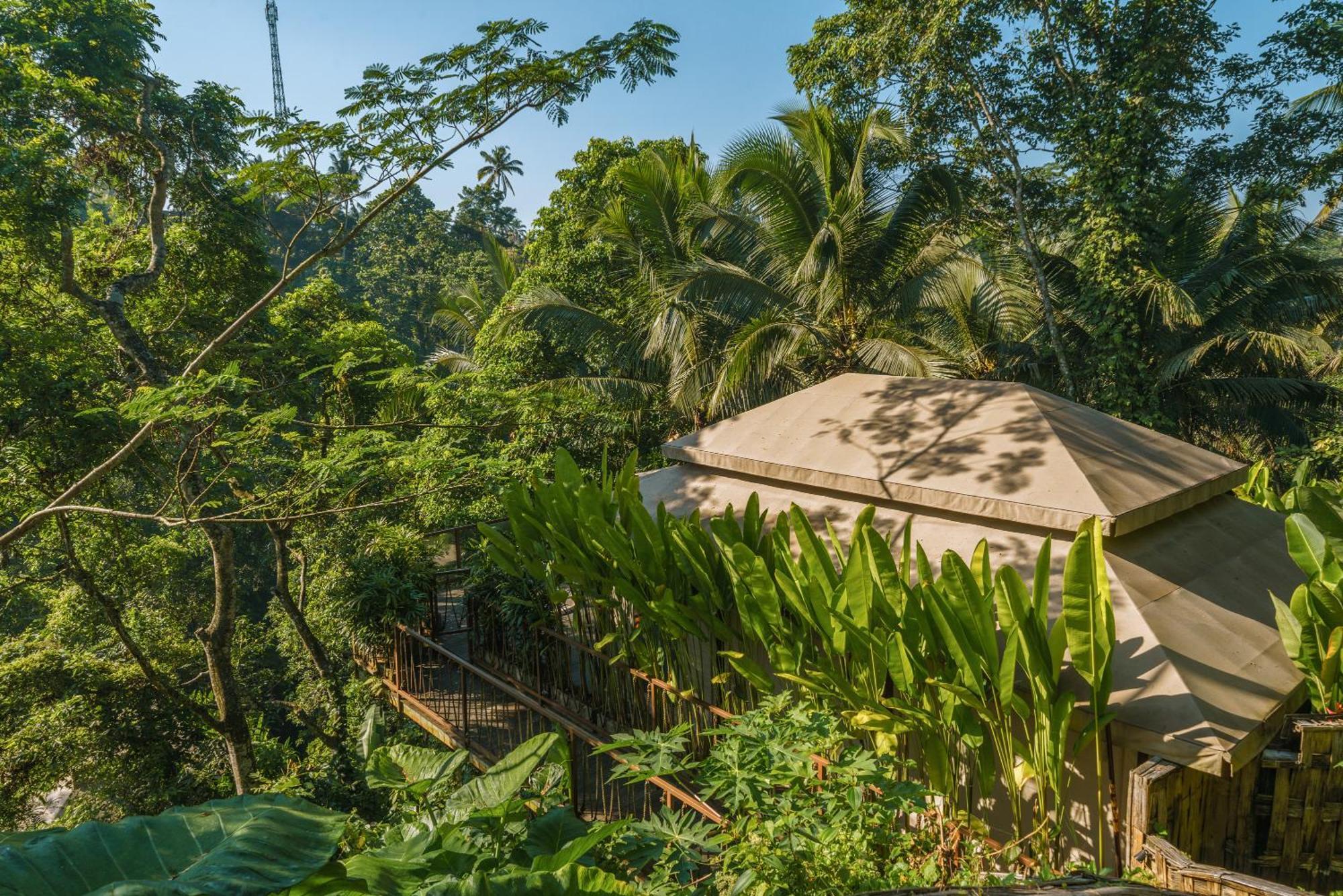 Kanva Ubud Tegallalang  Room photo