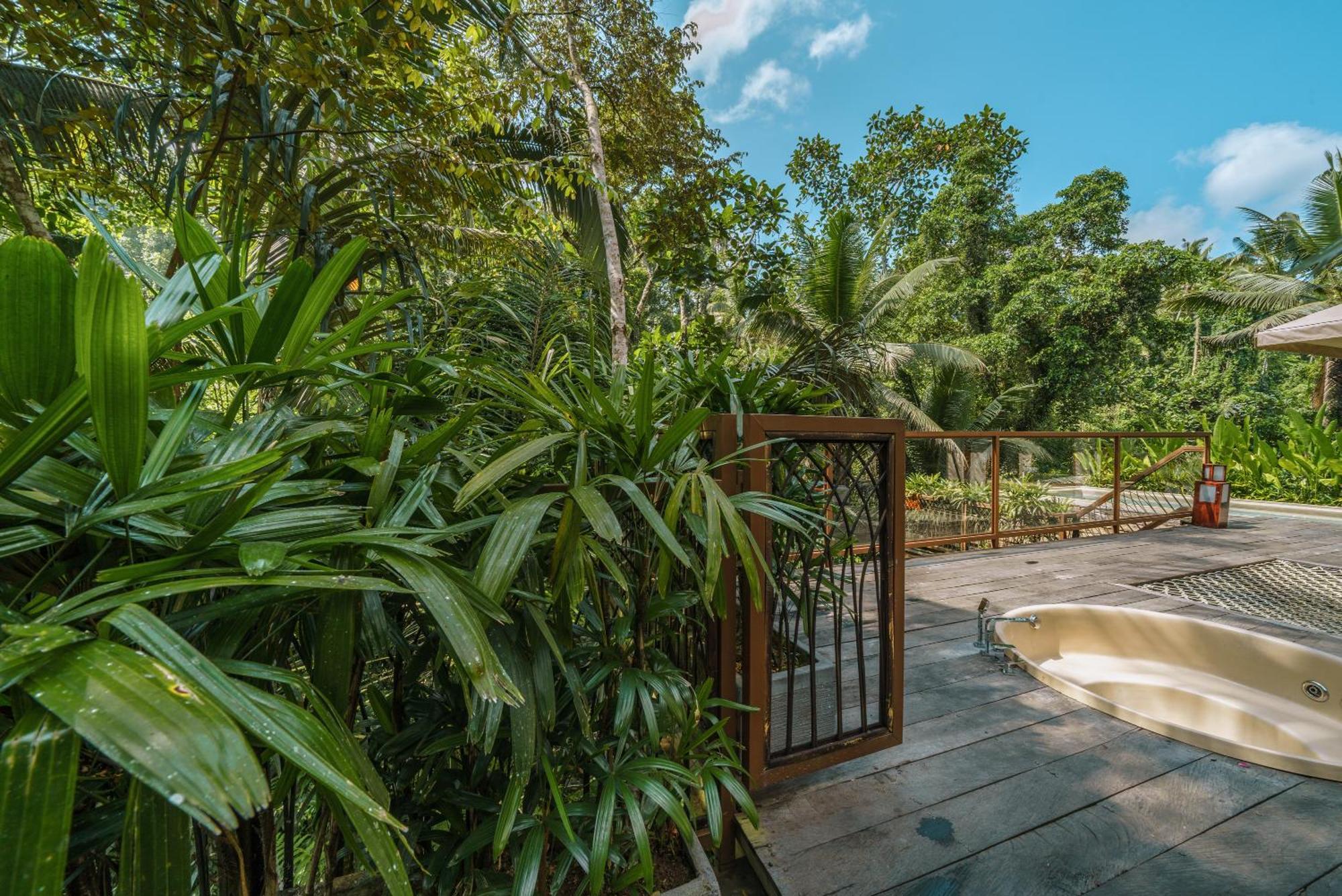 Kanva Ubud Tegallalang  Room photo