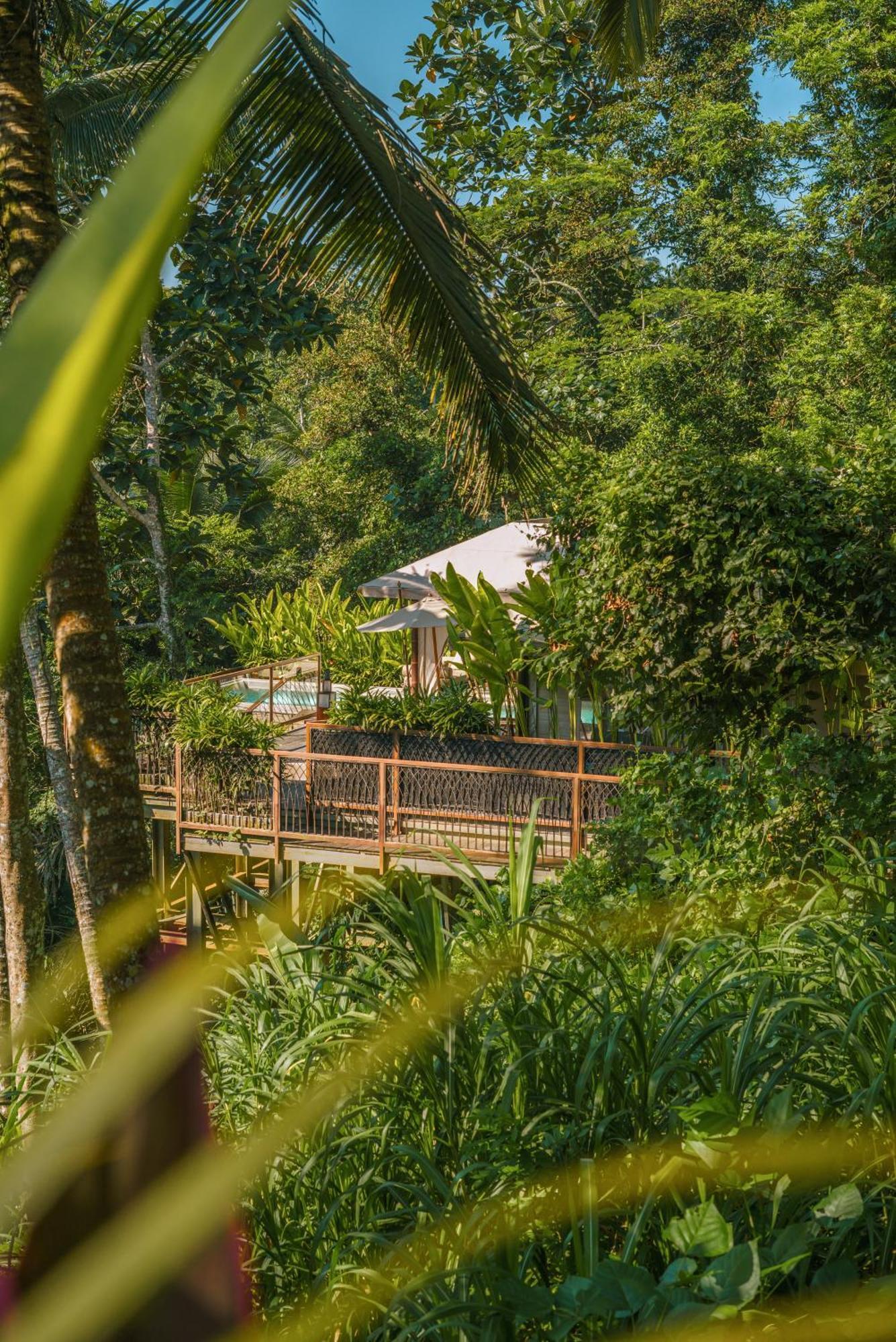 Kanva Ubud Tegallalang  Room photo